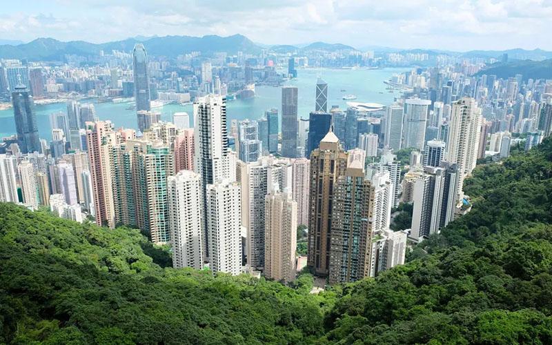 中國香港移民需要什么條件？全面解析中國香港移民的要求與流程