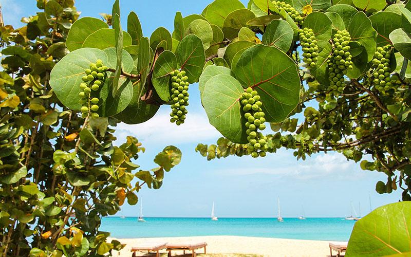 移民海外的人是誰？揭秘全球移民群體的特點與趨勢
