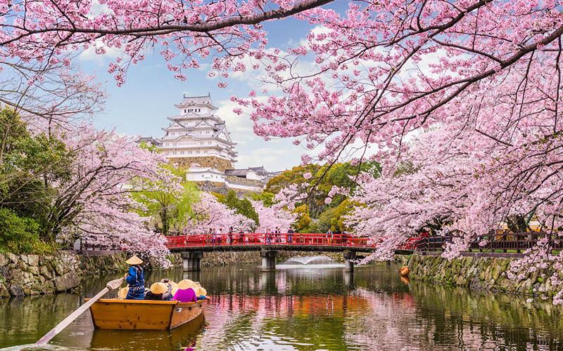 日本投資移民要多少錢？全面解析費(fèi)用及申請(qǐng)流程