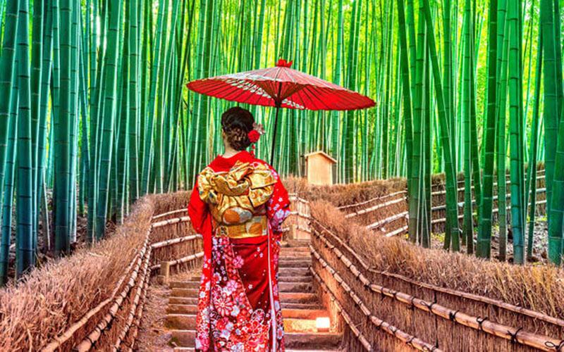 投資105萬(wàn)移民項(xiàng)目怎樣？深入解讀流程與要點(diǎn)