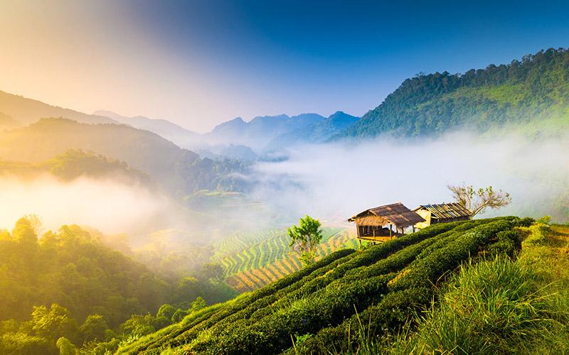 出國(guó)有沒有移民限制？詳解各國(guó)政策與申請(qǐng)條件